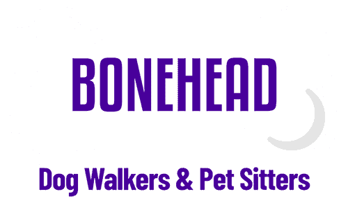 Bonehead Dog Walkers and Pet Sitters