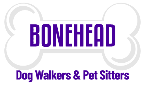Bonehead Dog Walkers and Pet Sitters logo Bonehead Dog Walkers and Pet Sitters logo