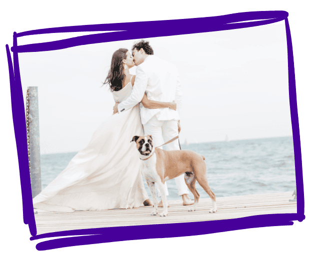 bonehead dog walkers WEDDING ATTENDANT DOG SITTING WEDDING ATTENDANT DOG SITTING